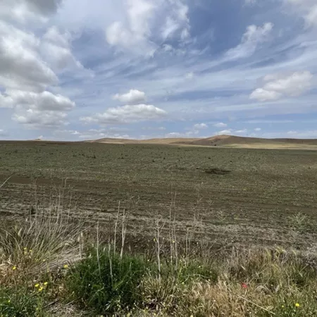 Ramacca project site