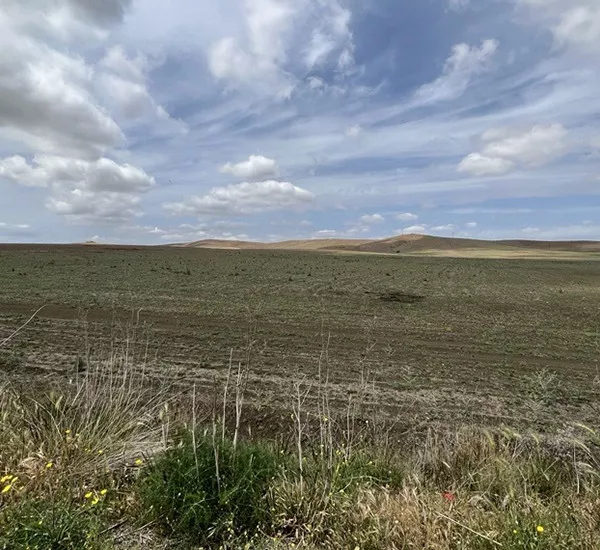 Ramacca project site