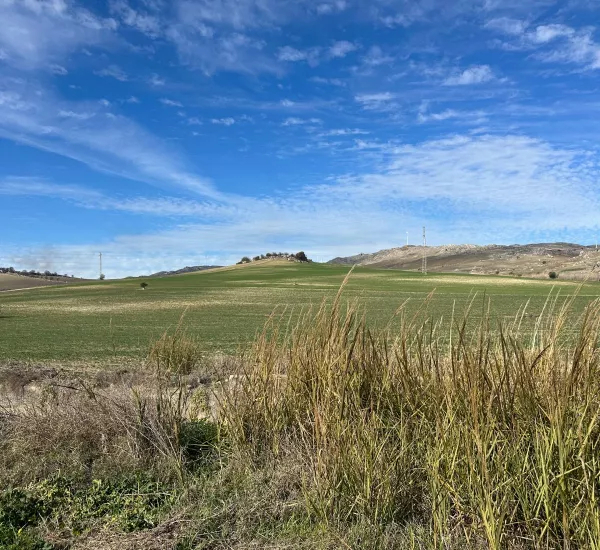 Mineo Solar Farm