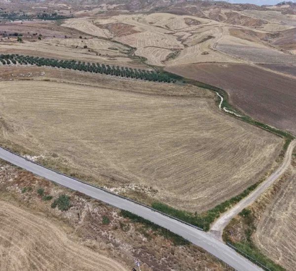 Mineo Solar Farm