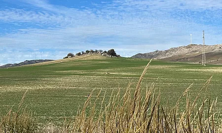 Mineo Solar Farm