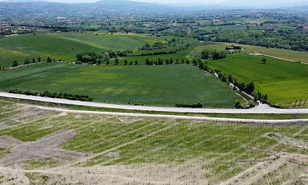 San Nicola Manfredi